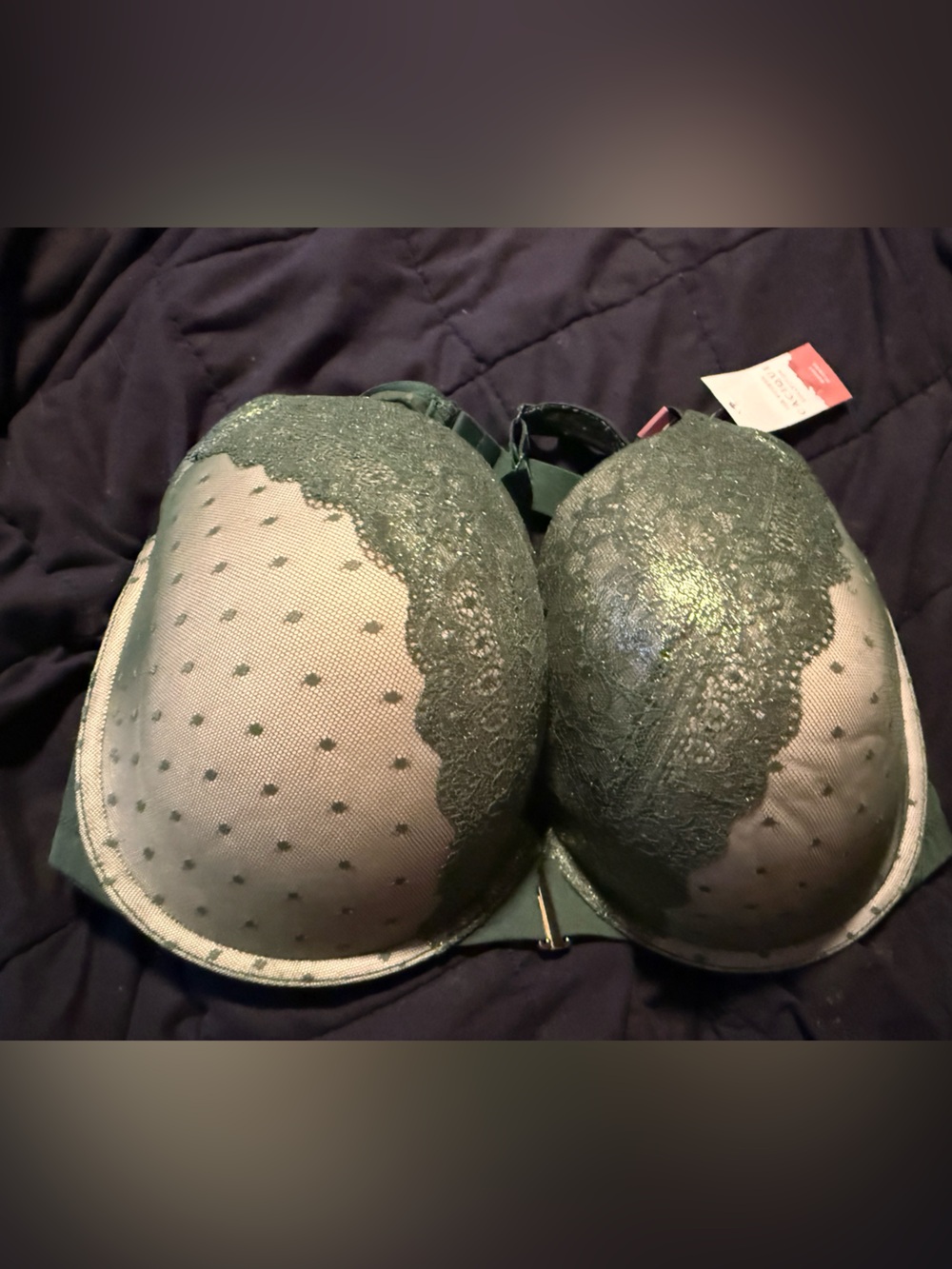 NEW Cacique Plunge Lace & Mesh Push-Up Bra in Deep Green